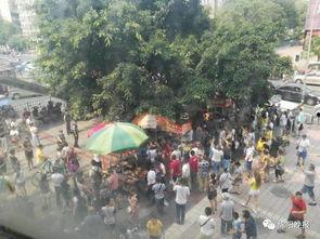 爆料游泳溺亡视频最新消息,游泳溺亡视频引发关注，悲剧背后真相令人唏嘘